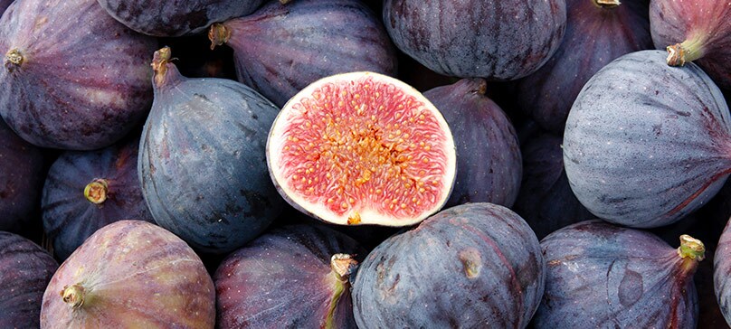Fig Season: All About this Nutritious Fruit