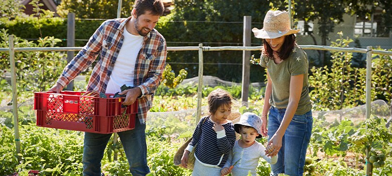 Article: Garden Grown Food.