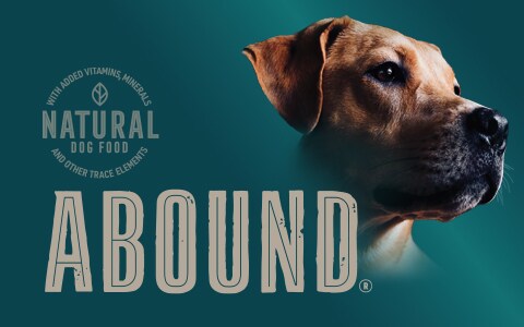 Abound cat food website clearance