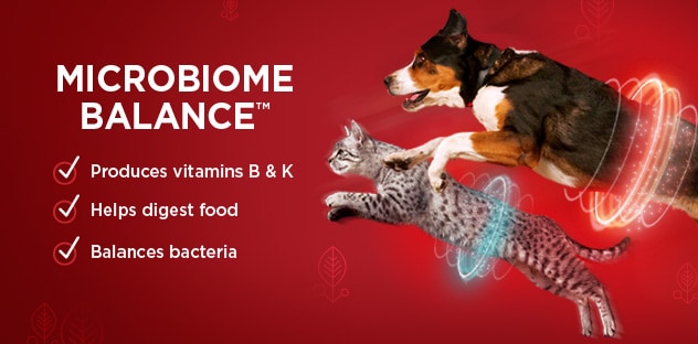 Microbiome Balance