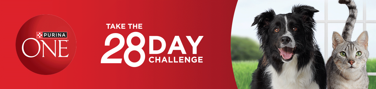 Take the 28 Day Challenge with Nestle Purina One