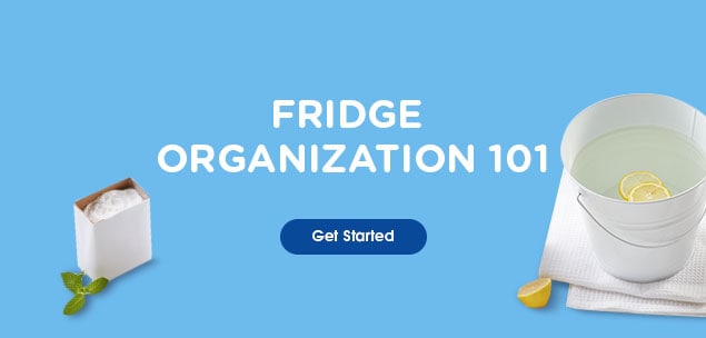Fridge Cleaning Article