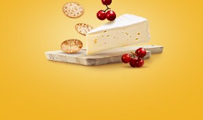 Shop Appetizers