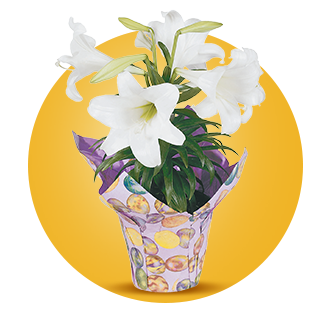 Floral