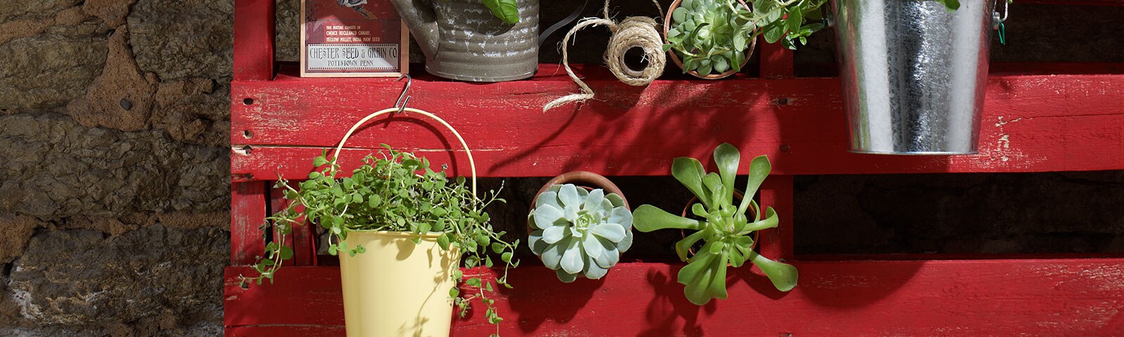 Plants on tin planters on a red pallet