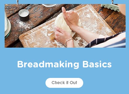 Bread Basics